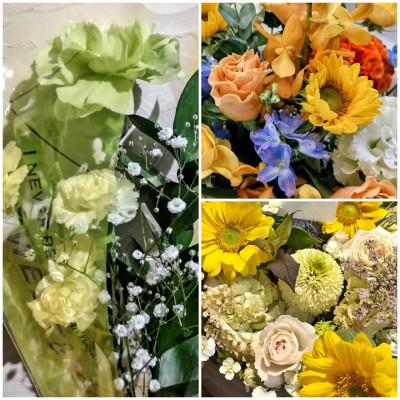 20260701_173254-COLLAGE.jpg